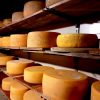 Caseus - atelier de brânzeturi cu dichis
